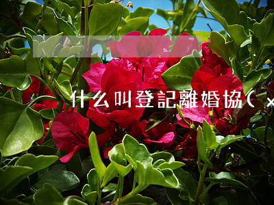 什么叫登記離婚協(xié)議