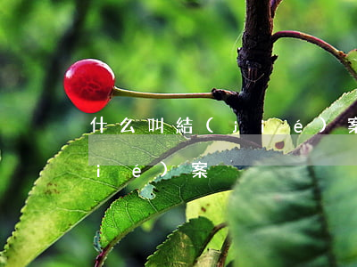 什么叫結(jié)案處理(怎樣才算結(jié)案)
