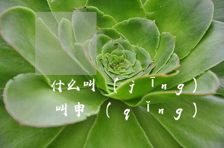 什么叫經(jīng)過復(fù)議(什么叫申請(qǐng)復(fù)議)
