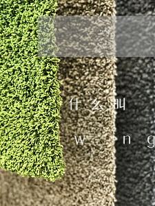 什么叫網(wǎng)貸逾期高炮口子(網(wǎng)貸高炮口子交流群)