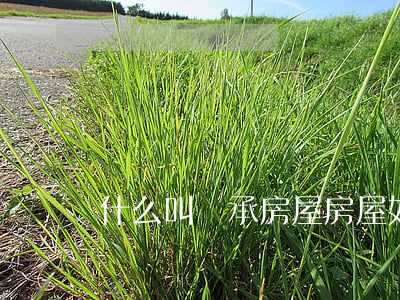 什么叫繼承房屋(房屋如何繼承)