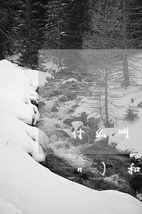 什么叫繼承遺產(chǎn)(遺產(chǎn)和繼承有什么區(qū)別)