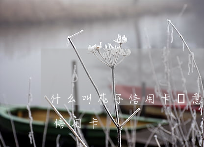 什么叫花子信用卡惡意透支(持卡人惡意透支信用卡)
