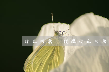 什么叫表見代理(什么叫表見代理原理?)