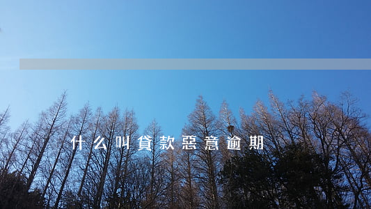 什么叫貸款惡意逾期