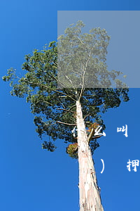什么叫質(zhì)押貸款(什么是質(zhì)押貸款中的質(zhì)押物)