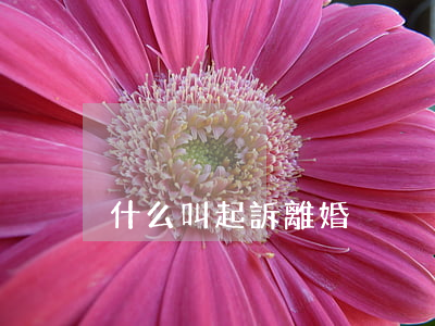 什么叫起訴離婚