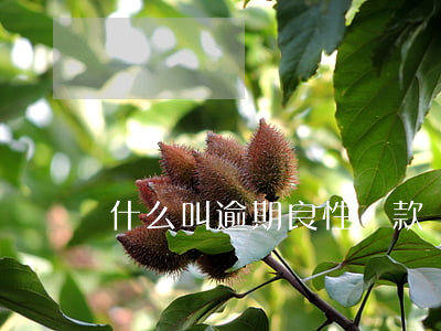 什么叫逾期良性還款(還款已逾期是什么意思)