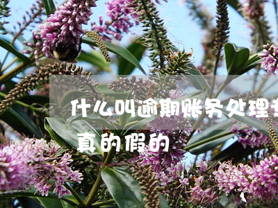 什么叫逾期账务处理专员-逾期处理专员是真的假的