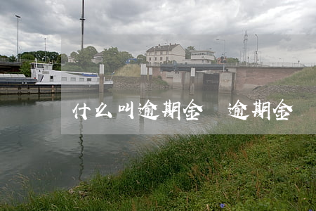 什么叫逾期金額（逾期金額到底怎么回事）