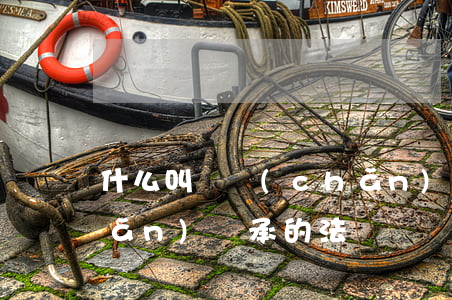 什么叫遺產(chǎn)繼承法(遺產(chǎn)繼承的法條)