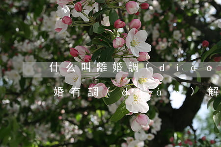 什么叫離婚調(diào)節(jié)(離婚有調(diào)解期嗎)