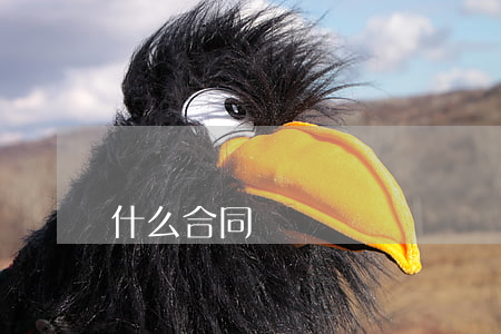 什么合同糾紛