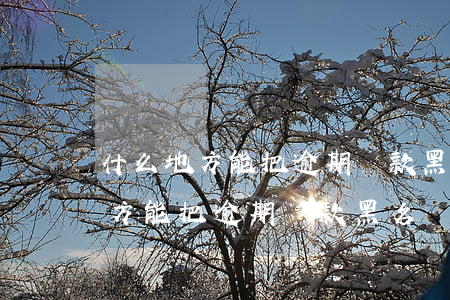 什么地方能把逾期還款黑名單解除-什么地方能把逾期還款黑名單解除呢