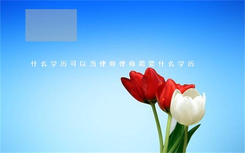 什么学历可以当律师(律师需要什么学历)