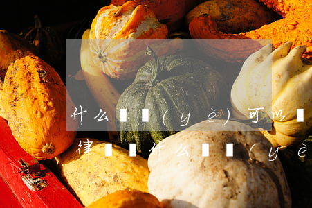 什么專業(yè)可以當(dāng)律師(律師讀什么專業(yè))