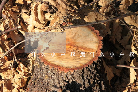 什么小产权房(什么小产权房子)