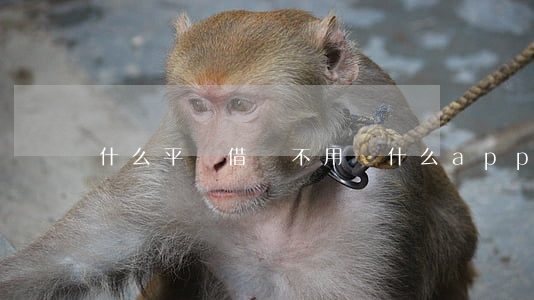 什么平臺借錢不用還 什么app借錢不用還