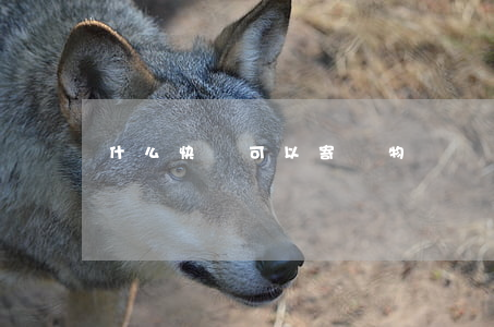 什么快遞可以寄寵物