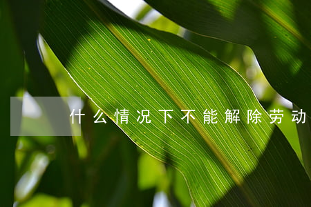 什么情况下不能解除劳动合同