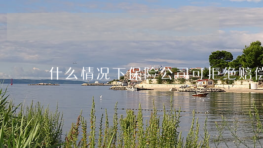 什么情况下保险公司可拒绝赔偿
