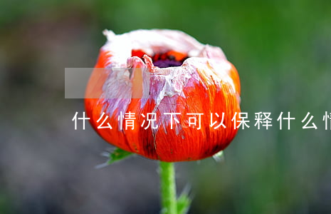 什么情况下可以保释(什么情况下可以保释)