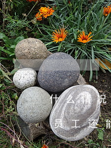什么情况下可以申请破产保护（公司申请破产，员工还能获得赔偿吗）