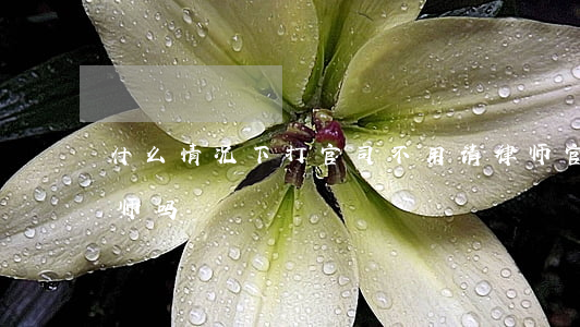 什么情况下打官司不用请律师(官司必须请律师吗)