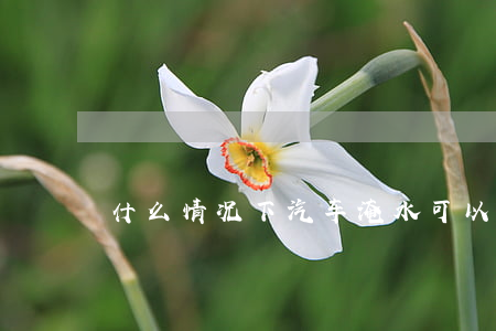 什么情况下汽车淹水可以理赔