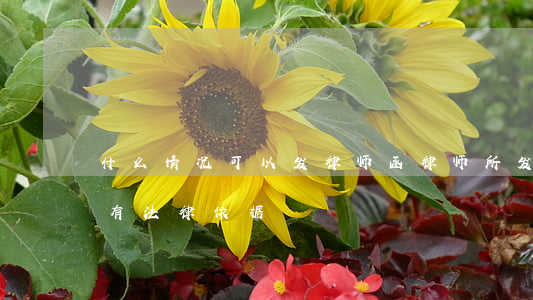 什么情况可以发律师函(律师所发来的律师函有法律依据?)
