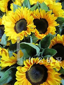 什么情况退律师费(怎样让律师退回律师费)