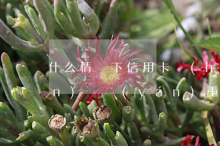 什么情況下信用卡會(huì)被認(rèn)為嚴(yán)重逾期（逾期還款信用卡會(huì)受到什么影響）