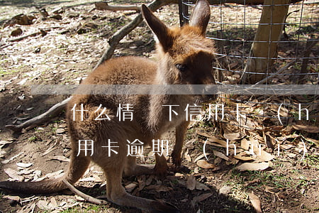 什么情況下信用卡會(huì)被降額度（信用卡逾期會(huì)降額度不）
