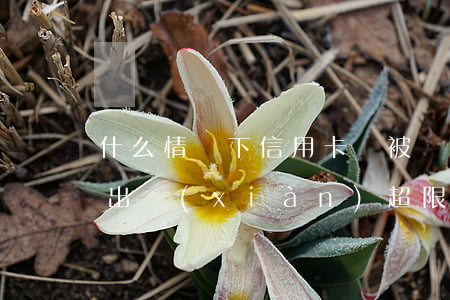 什么情況下信用卡會被認為嚴重逾期（信用卡出現(xiàn)超限會逾期嗎）