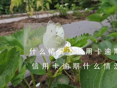 什么情況下信用卡逾期會(huì)被起訴（信用卡逾期什么情況下銀行起訴）