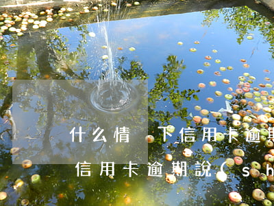 什么情況下信用卡逾期會(huì)被起訴（信用卡逾期說(shuō)要起訴現(xiàn)在在排期）