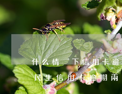 什么情況下信用卡逾期會(huì)被起訴（民生信用卡逾期兩年會(huì)被起訴嗎）