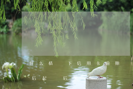 什么情況下信用卡逾期會被起訴（信用卡逾期后起訴后果）