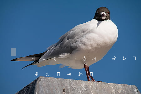 什么情況下信用卡逾期會被起訴(“信用卡逾期多久會被起訴”)