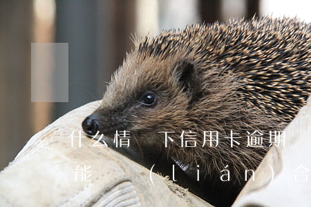 什么情況下信用卡逾期會被起訴（信用卡逾期能夠聯(lián)合立案嗎）