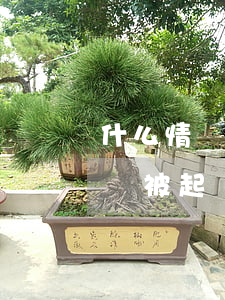 什么情況下信用卡逾期會被起訴（信用卡逾期說被起訴是真的嗎）