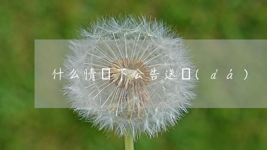 什么情況下公告送達(dá)