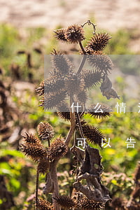 什么情況下可以告小三(有什么證據(jù)可以告小三)