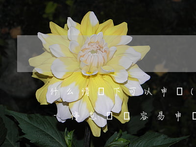 什么情況下可以申請(qǐng)停息掛賬-停息掛賬容易申請(qǐng)嗎