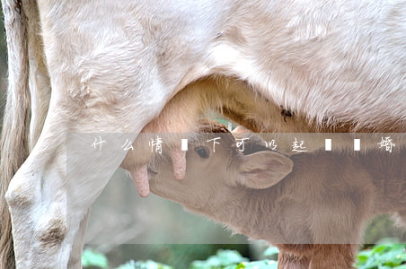 什么情況下可以起訴離婚