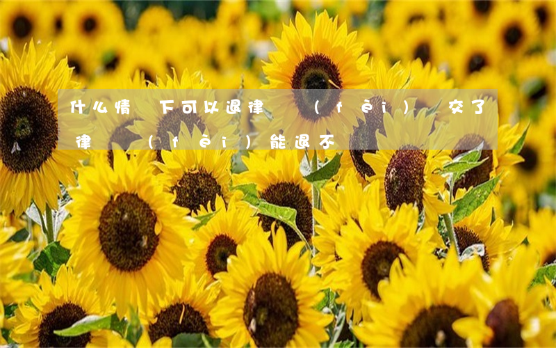 什么情況下可以退律師費(fèi)(剛交了律師費(fèi)能退不)