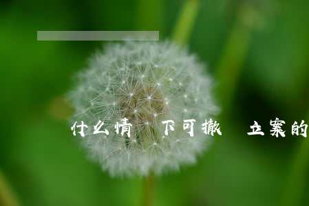 什么情況下可撤銷立案的案件