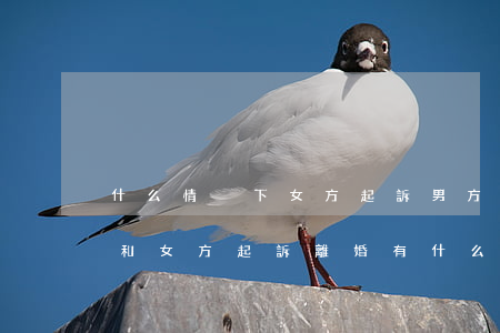 什么情況下女方起訴男方離婚(男方起訴離婚和女方起訴離婚有什么不同)