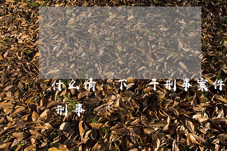 什么情況下屬于刑事案件(什么樣的案件屬于刑事) 什么情況下屬于刑事案件(什么樣的案件屬于刑事)