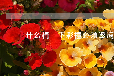 什么情況下彩禮必須返還